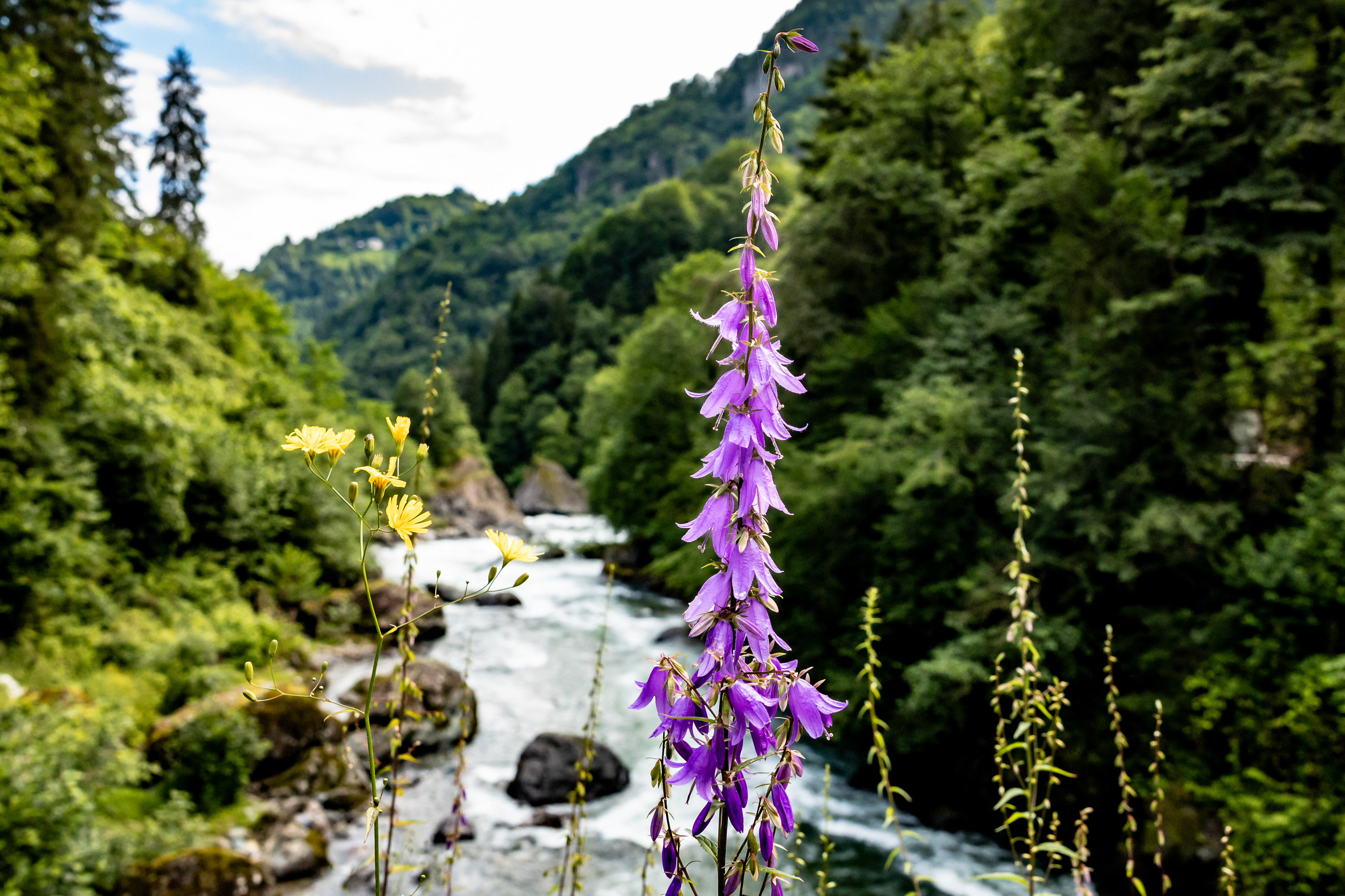 Rize Doğa ve Macera