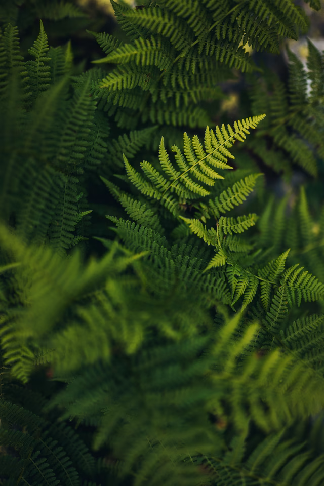 botanics